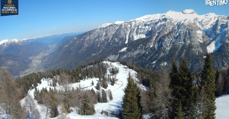 Webcam Skiarea Campiglio Dolomiti di Brenta Val di Sole Val Rendena - Folgarida Malghet Aut 
