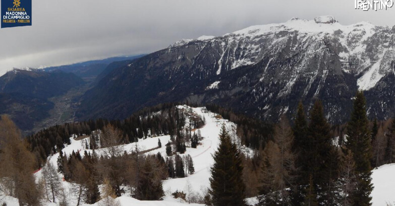 Webcam Ski area Campiglio Dolomiti di Brenta Val di Sole Val Rendena - Folgarida Malghet Aut 
