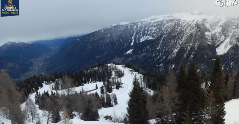 Webcam Ski area Campiglio Dolomiti di Brenta Val di Sole Val Rendena - Folgarida Malghet Aut 