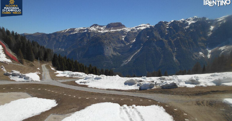 Webcam Skiarea Campiglio Dolomiti di Brenta Val di Sole Val Rendena - Pista delle Rocce - Folgarida