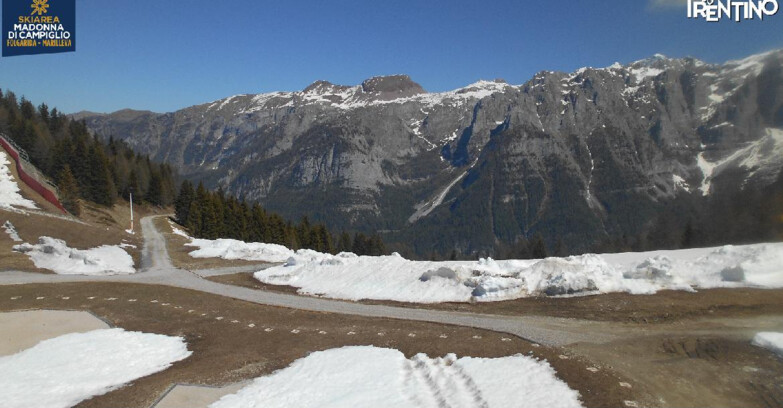 Webcam Skiarea Campiglio Dolomiti di Brenta Val di Sole Val Rendena - Pista delle Rocce - Folgarida