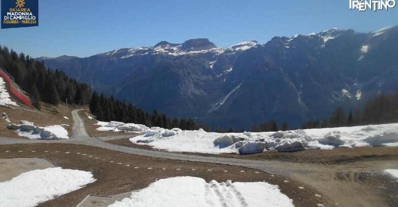 Webcam Skiarea Campiglio Dolomiti di Brenta Val di Sole Val Rendena - Pista delle Rocce - Folgarida