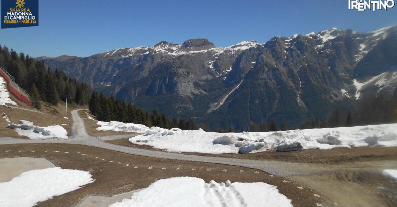 Webcam Skiarea Campiglio Dolomiti di Brenta Val di Sole Val Rendena - Pista delle Rocce - Folgarida