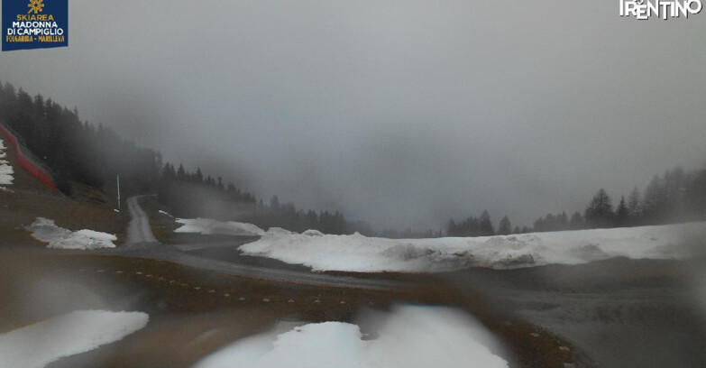 Webcam Фольгарида-Мариллева - Pista delle Rocce - Folgarida