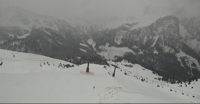 Webcam Pozza di Fassa-Aloch-Buffaure  - Rifugio Baita Cuz