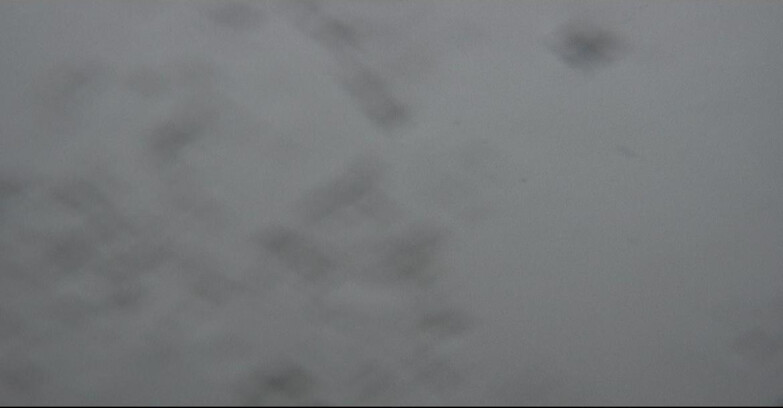 Webcam Поцца-ди-Фасса-Алок-Буффор  - Vigo di Fassa da Buffaure