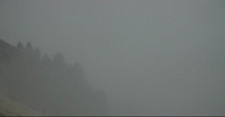 Webcam Поцца-ди-Фасса-Алок-Буффор  - Panorama da Buffaure