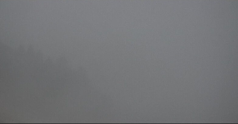 Webcam Поцца-ди-Фасса-Алок-Буффор  - Panorama da Buffaure