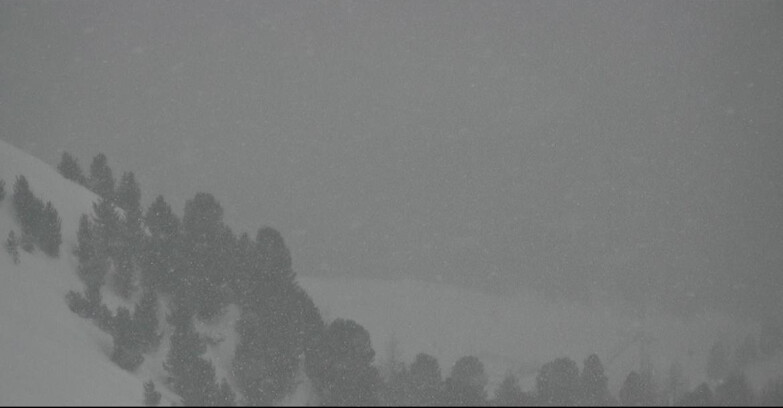 Webcam Pozza di Fassa-Aloch-Buffaure  - Panorama da Buffaure