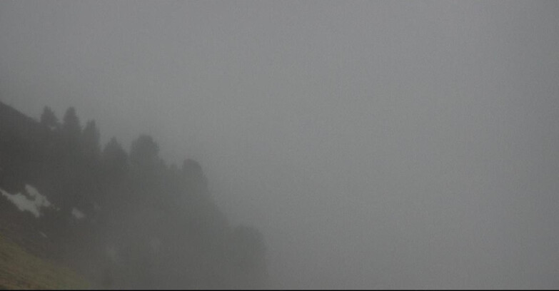 Webcam Поцца-ди-Фасса-Алок-Буффор  - Panorama da Buffaure