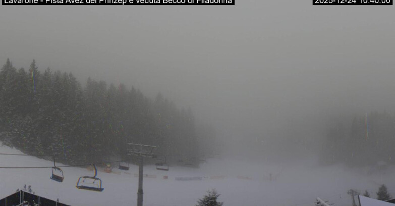 Webcam Ski area Lavarone - Pista Avez- seggiovia Lagh.