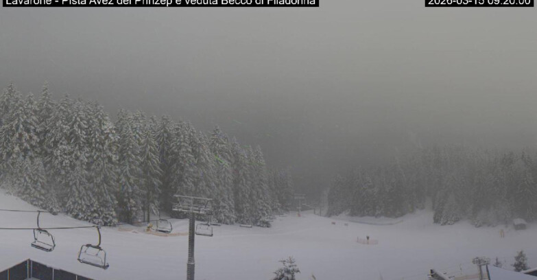 Webcam Lavarone - Pista Avez- seggiovia Lagh.