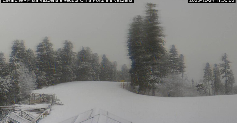 Webcam Ski area Lavarone - Pista Vezzena