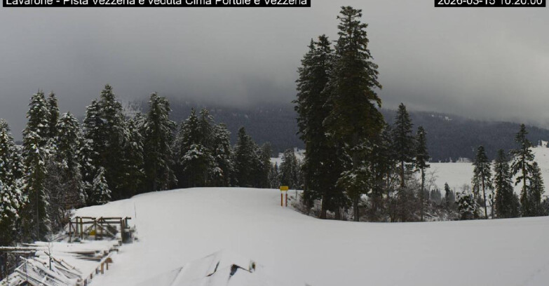 Webcam Ski area Lavarone - Pista Vezzena