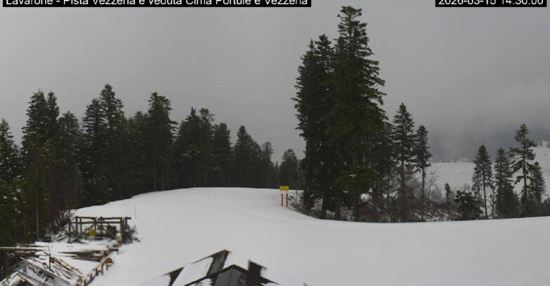 Webcam Ski area Lavarone - Pista Vezzena
