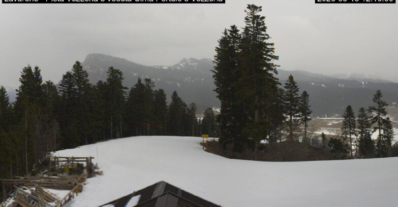 Webcam Лавароне  - Piste Vezzena