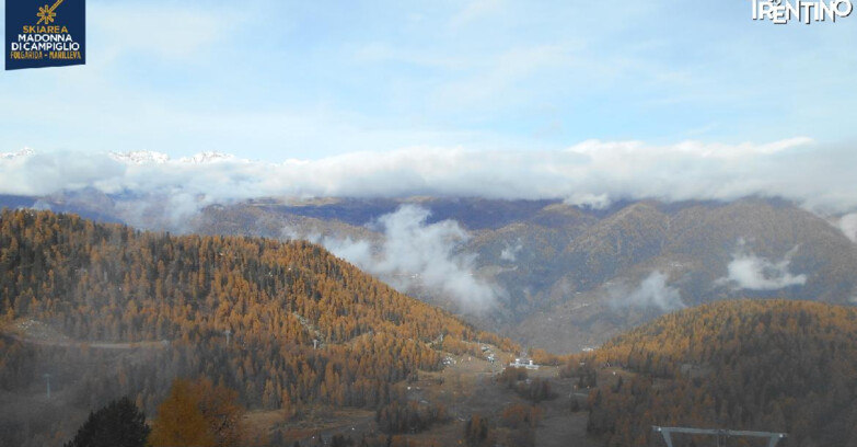 Webcam Ski area Campiglio Dolomiti di Brenta Val di Sole Val Rendena - Nuova Seggiovia Vigo