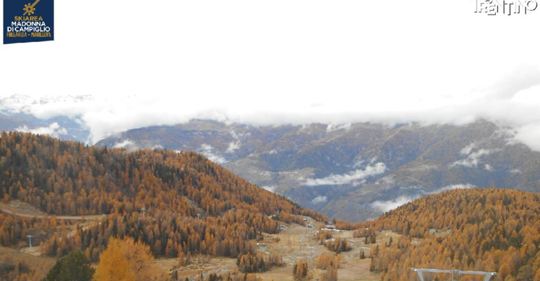 Webcam Ski area Campiglio Dolomiti di Brenta Val di Sole Val Rendena - Nuova Seggiovia Vigo