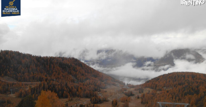 Webcam Ski area Campiglio Dolomiti di Brenta Val di Sole Val Rendena - Nuova Seggiovia Vigo