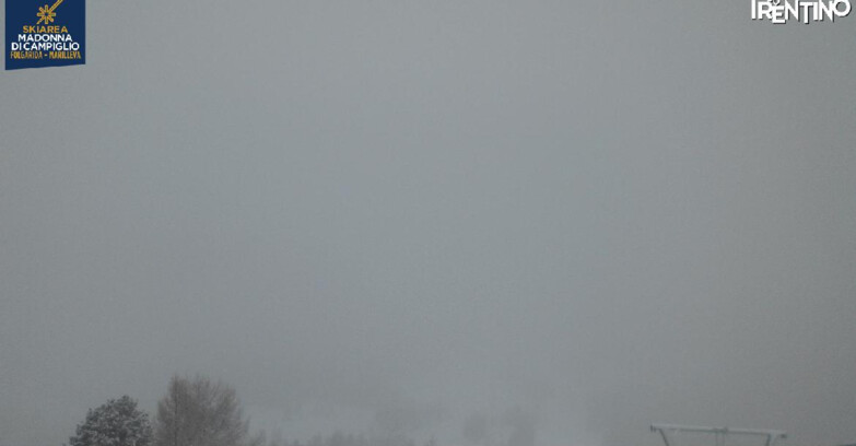 Webcam Folgarida-Marilleva  (Skiarea Campiglio Dolomiti di Brenta - Val di Sole Val Rendena) - Nuova Seggiovia Vigo