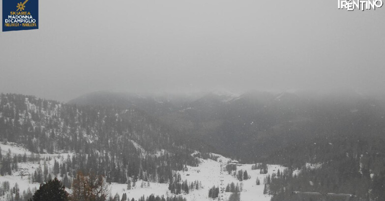 Webcam Ski area Campiglio Dolomiti di Brenta Val di Sole Val Rendena - Nuova Seggiovia Vigo