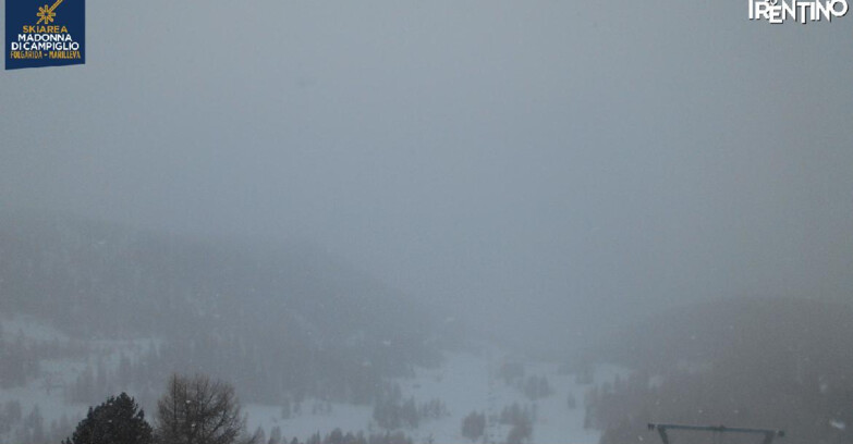 Webcam Ski area Campiglio Dolomiti di Brenta Val di Sole Val Rendena - Nuova Seggiovia Vigo