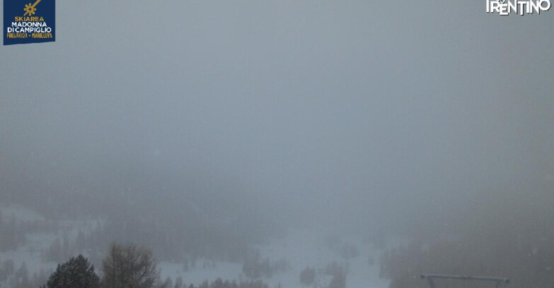 Webcam Ski area Campiglio Dolomiti di Brenta Val di Sole Val Rendena - Nuova Seggiovia Vigo