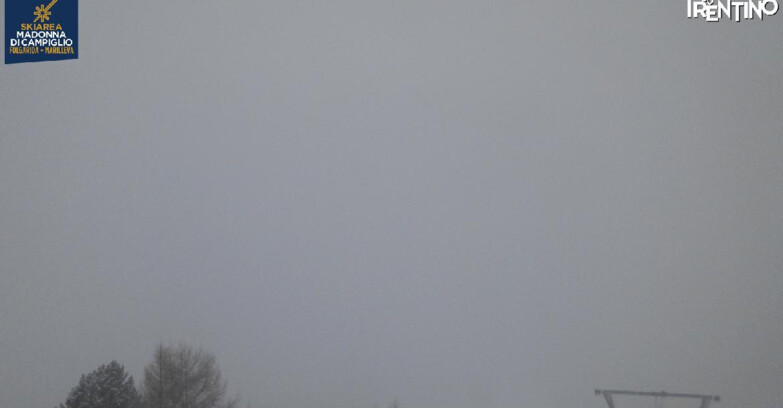 Webcam Ski area Campiglio Dolomiti di Brenta Val di Sole Val Rendena - Nuova Seggiovia Vigo