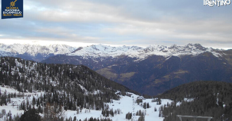 Webcam Ski area Campiglio Dolomiti di Brenta Val di Sole Val Rendena - Nuova Seggiovia Vigo