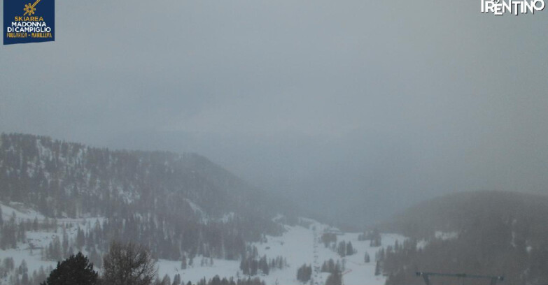 Webcam Folgarida-Marilleva  (Skiarea Campiglio Dolomiti di Brenta - Val di Sole Val Rendena) - Nuova Seggiovia Vigo