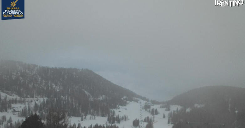 Webcam Folgarida-Marilleva  (Skiarea Campiglio Dolomiti di Brenta - Val di Sole Val Rendena) - Nuova Seggiovia Vigo
