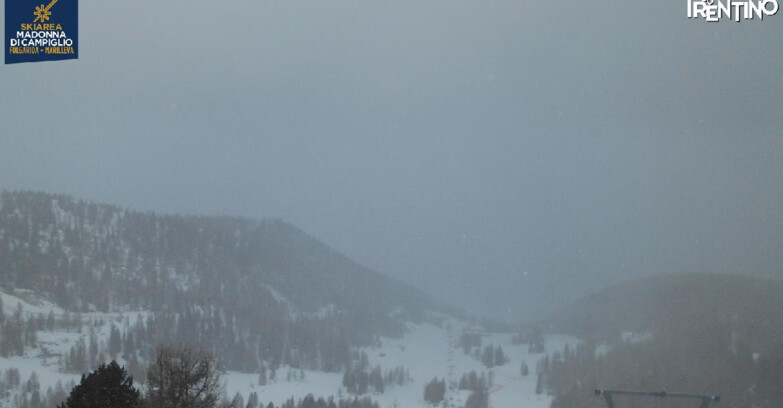 Webcam Folgarida-Marilleva  (Skiarea Campiglio Dolomiti di Brenta - Val di Sole Val Rendena) - Nuova Seggiovia Vigo
