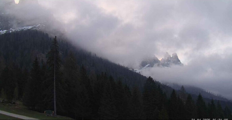 Webcam Сан-Мартино-ди-Кастроцца - Пассо-Ролле - Le Pale di San Martino