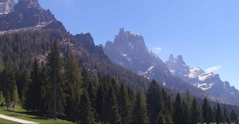 Webcam San Martino di Castrozza - Passo Rolle - Le Pale di San Martino
