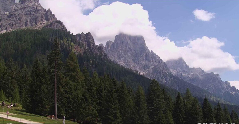 Webcam Сан-Мартино-ди-Кастроцца - Пассо-Ролле - Le Pale di San Martino