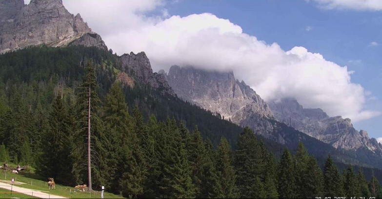 Webcam San Martino di Castrozza - Passo Rolle  - Le Pale di San Martino
