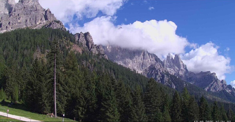 Webcam San Martino di Castrozza - Passo Rolle  - Le Pale di San Martino
