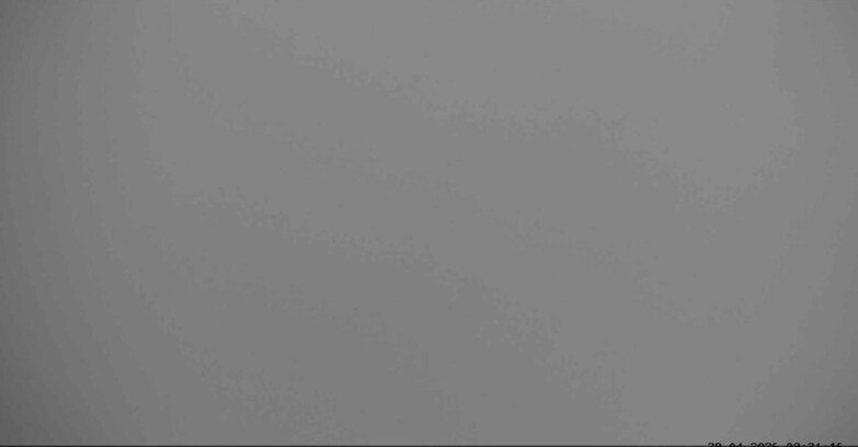 Webcam San Martino di Castrozza - Passo Rolle  - Alpe Tognola e Pista 1