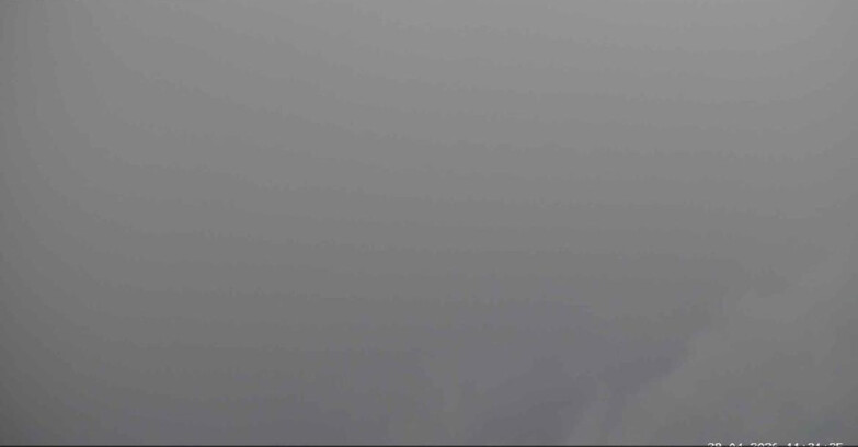 Webcam San Martino di Castrozza - Passo Rolle  - Alpe Tognola e Pista 1