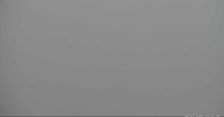 Webcam San Martino di Castrozza - Passo Rolle  - Alpe Tognola e Pista 1