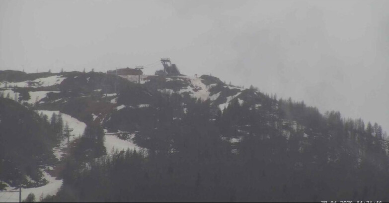 Webcam San Martino di Castrozza - Passo Rolle  - Alpe Tognola e Pista 1