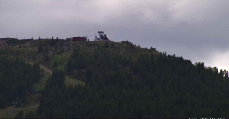 Webcam San Martino di Castrozza - Passo Rolle - Alpe Tognola e Pista 1