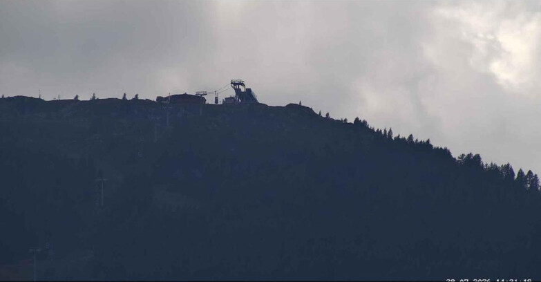 Webcam San Martino di Castrozza - Passo Rolle - Alpe Tognola e Pista 1
