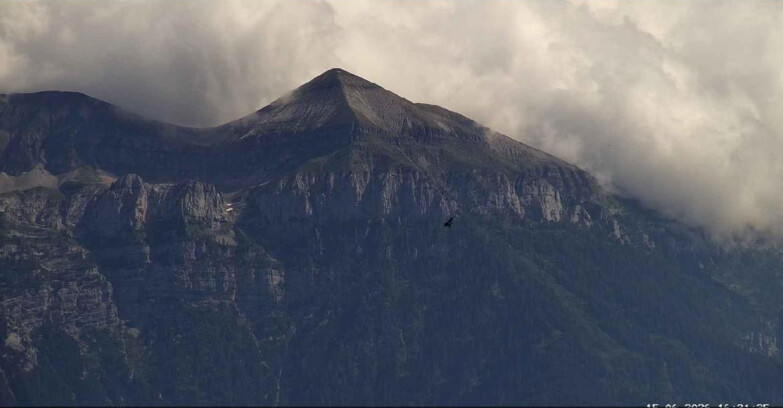 Webcam San Martino di Castrozza - Passo Rolle - Monte Pavione