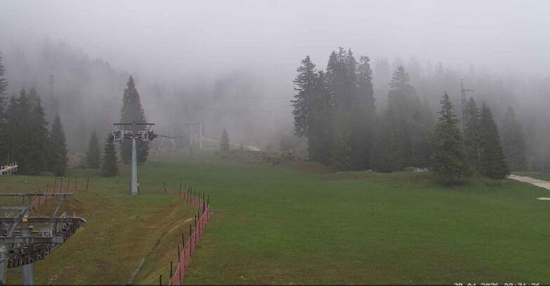 Webcam San Martino di Castrozza - Passo Rolle  - Pista Col Verde