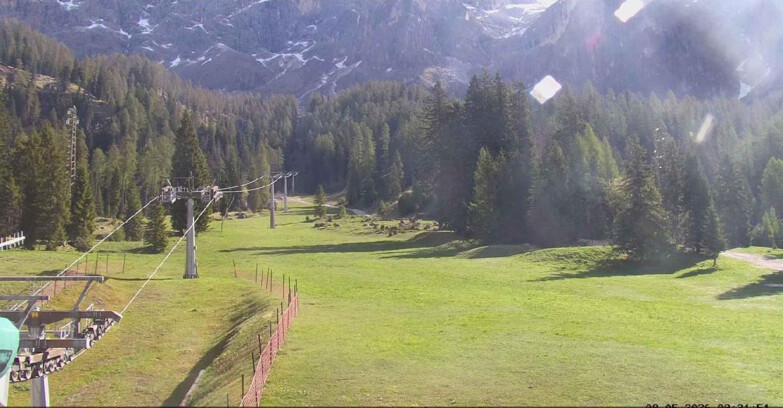 Webcam Сан-Мартино-ди-Кастроцца - Пассо-Ролле - Pista Col Verde