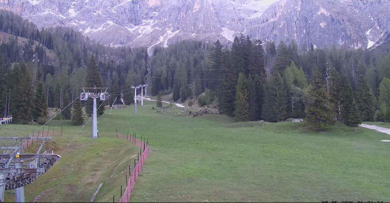 Webcam Сан-Мартино-ди-Кастроцца - Пассо-Ролле - Pista Col Verde