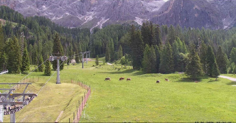 Webcam San Martino di Castrozza - Passo Rolle - Pista Col Verde