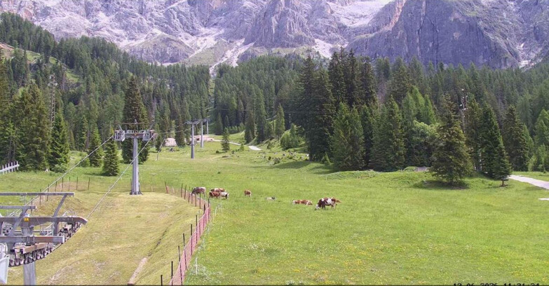 Webcam San Martino di Castrozza - Passo Rolle - Pista Col Verde