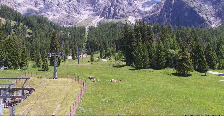 Webcam San Martino di Castrozza - Passo Rolle - Pista Col Verde